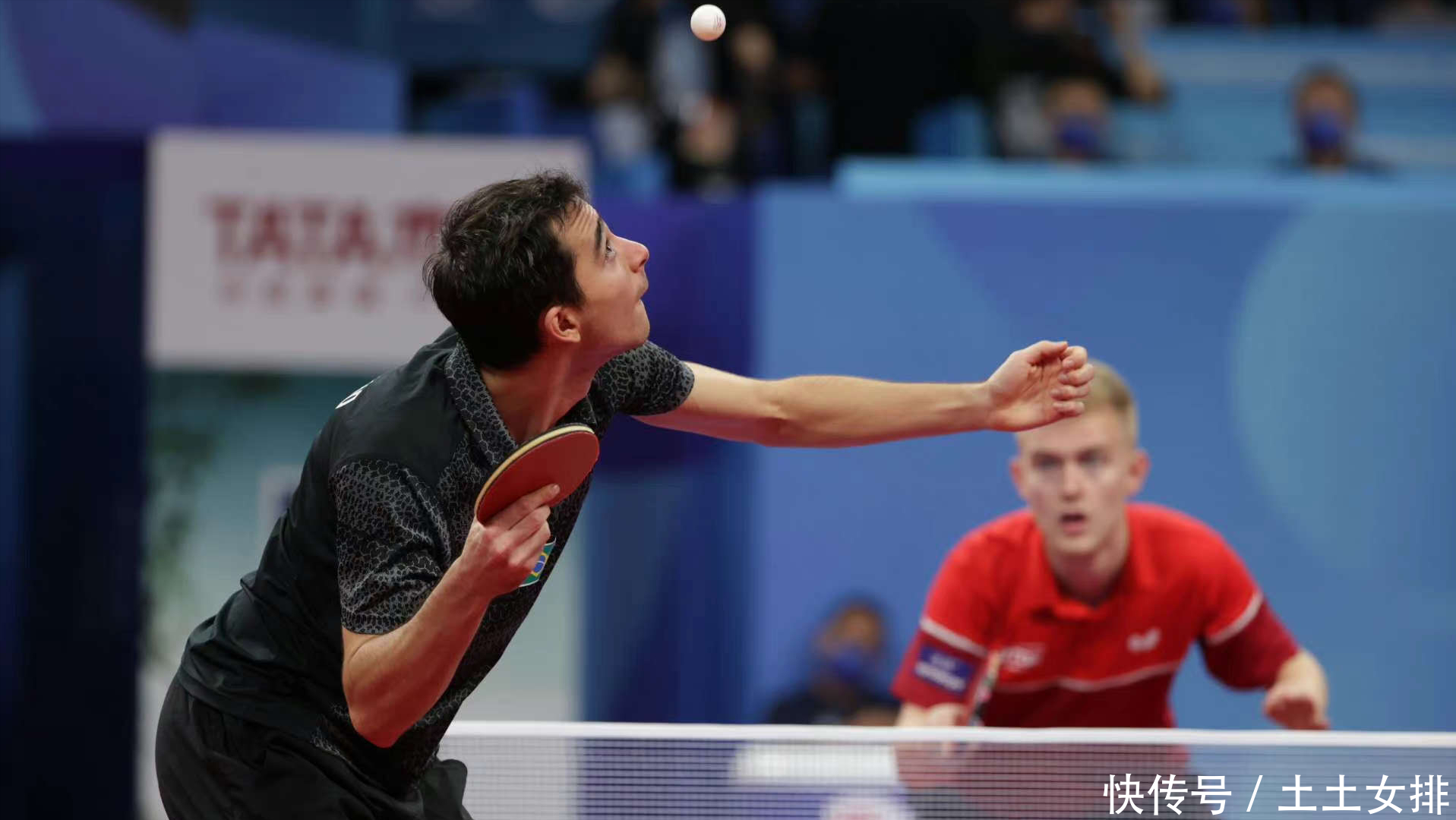 尽管猛龙队 尽管猛龙队